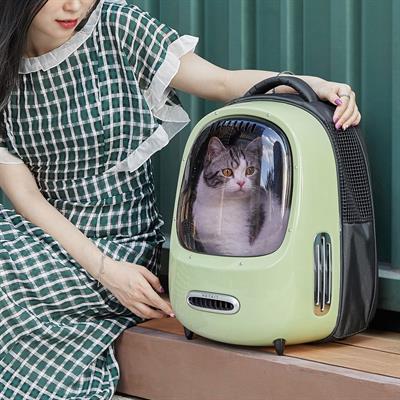 PETKIT BREEZY SMART CAT CARRIER - Luxury Cat Pet Carrier with internal lamp ,fresh air system (White/Green)