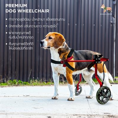 WHEELCARE - Premium Dog Wheelchair for disability pet, made from aluminium alloy, adjustable for all dog shape (RED, WR-1)