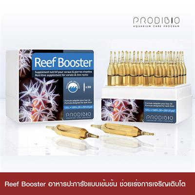 Prodibio Reef Booster, nutritive supplement for corals & lives rocks  (1box, 30 vials)