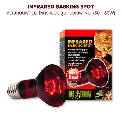 Exo Terra Infrared Basking Spot - Emits infrared heat waves, essential for activity and digestion (50W-150W)