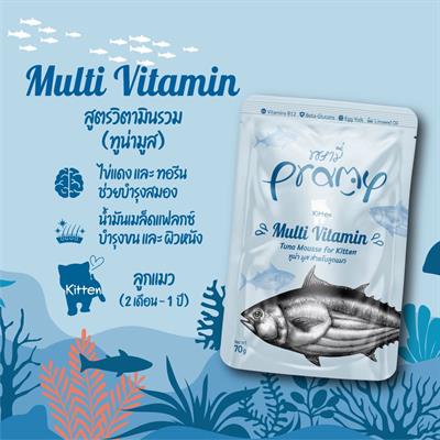 PRAMY Wet Cat food, Premium for healthy kitten (70g)