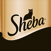 ชีบา (Sheba)