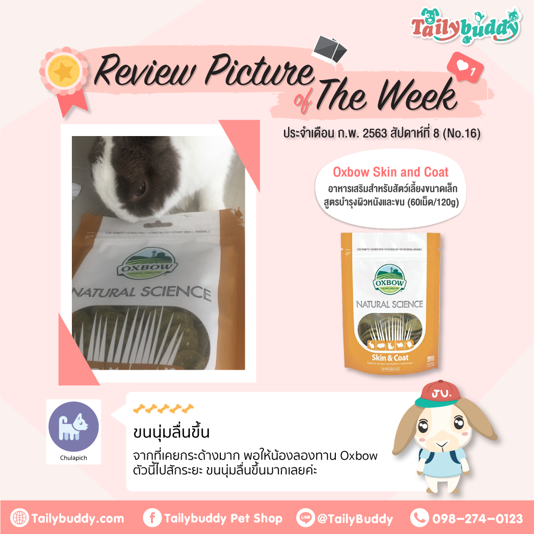 Biggest online pet supplies in Thailand.