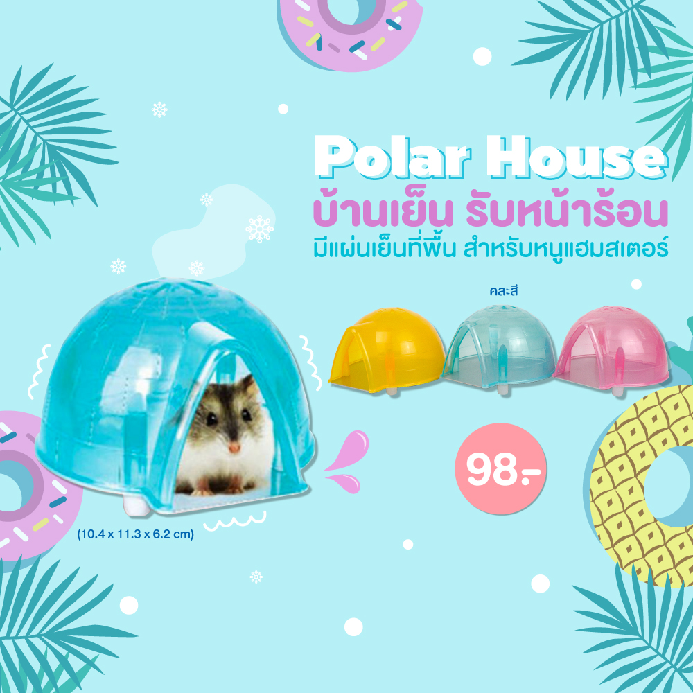 Biggest online pet supplies in Thailand.