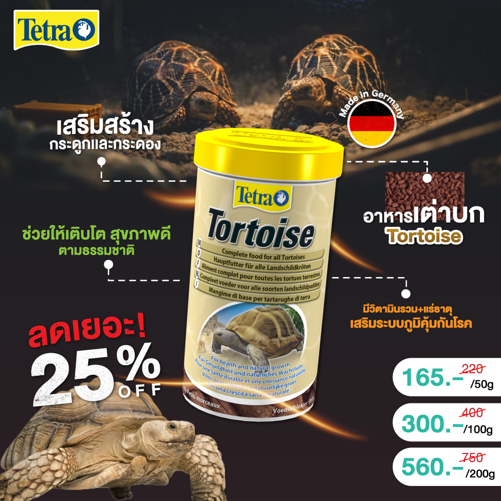 Biggest online pet supplies in Thailand.