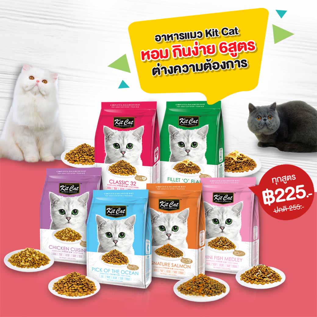 Biggest online pet supplies in Thailand.
