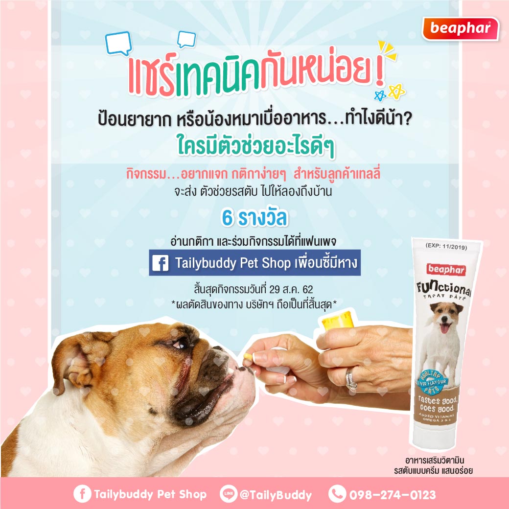 Biggest online pet supplies in Thailand.
