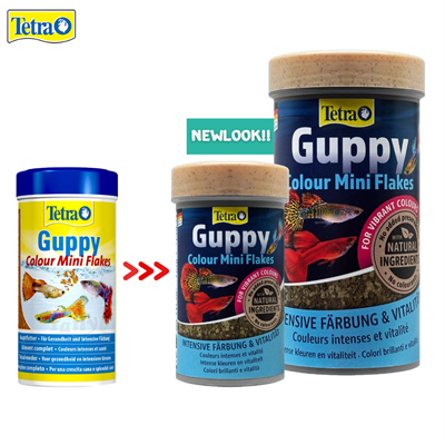 สูตรใหม่!! Tetra Guppy Colour Mini Flakes อาหารสูตรเร่งสีปลาหางนกยูง และปลาออกลูกเป็นตัวทุกสายพันธุ์