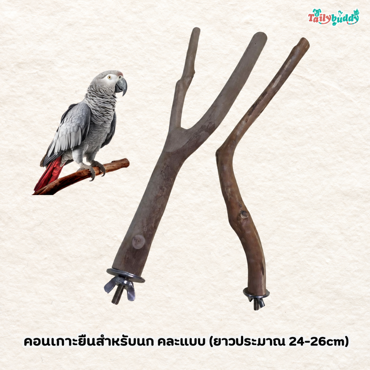 BirdBox คอนไม้ คอนเกาะยืน แบบยึดติดกรง สำหรับนก ทำจากไม้ธรรมชาติ