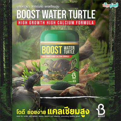 BOOST WATER TURTLE Food for turtles, rich in natural protein from shrimp, supplemented with calcium and vitamin D3+ to help turtles have good health. (40g)