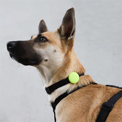 zee.dog AirTag Holder เคสซิลิโคน ใส่ Apple AirTag คล้องกับปลอกคอสุนัข ออกแบบมาอย่างพอดี สีสวย ทน