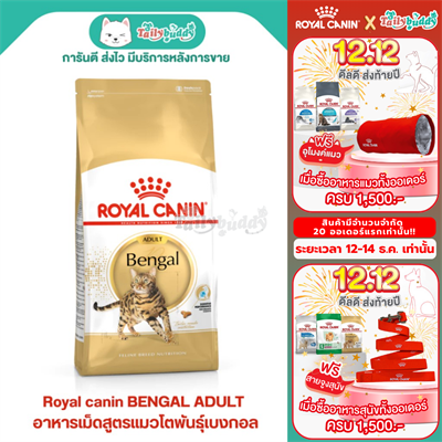 Royal Canin BENGAL ADULT อาหารแมวโตพันธุ์เบงกอล (2kg)