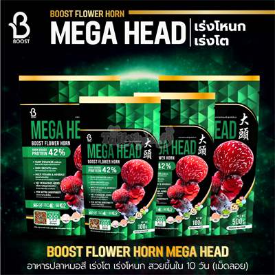 Boost Flower Horn สูตร Mega Head อาหารปลาหมอสี เร่งโต เร่งโหนก สวยขึ้นใน 10 วัน (เม็ดลอย) (เม็ด S, เม็ด M) (100g, 500g)
