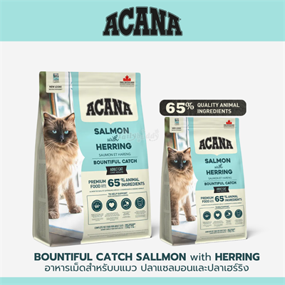 Acana Bountiful Catch อาหารเม็ดสำหรับแมวโต สูตรปลาแซลมอนและปลาเฮร์ริง เสริมสร้างภูมิคุ้มกัน มี DHA และ EPA บำรุงสายตาและสมอง (1.8kg , 4.5kg)