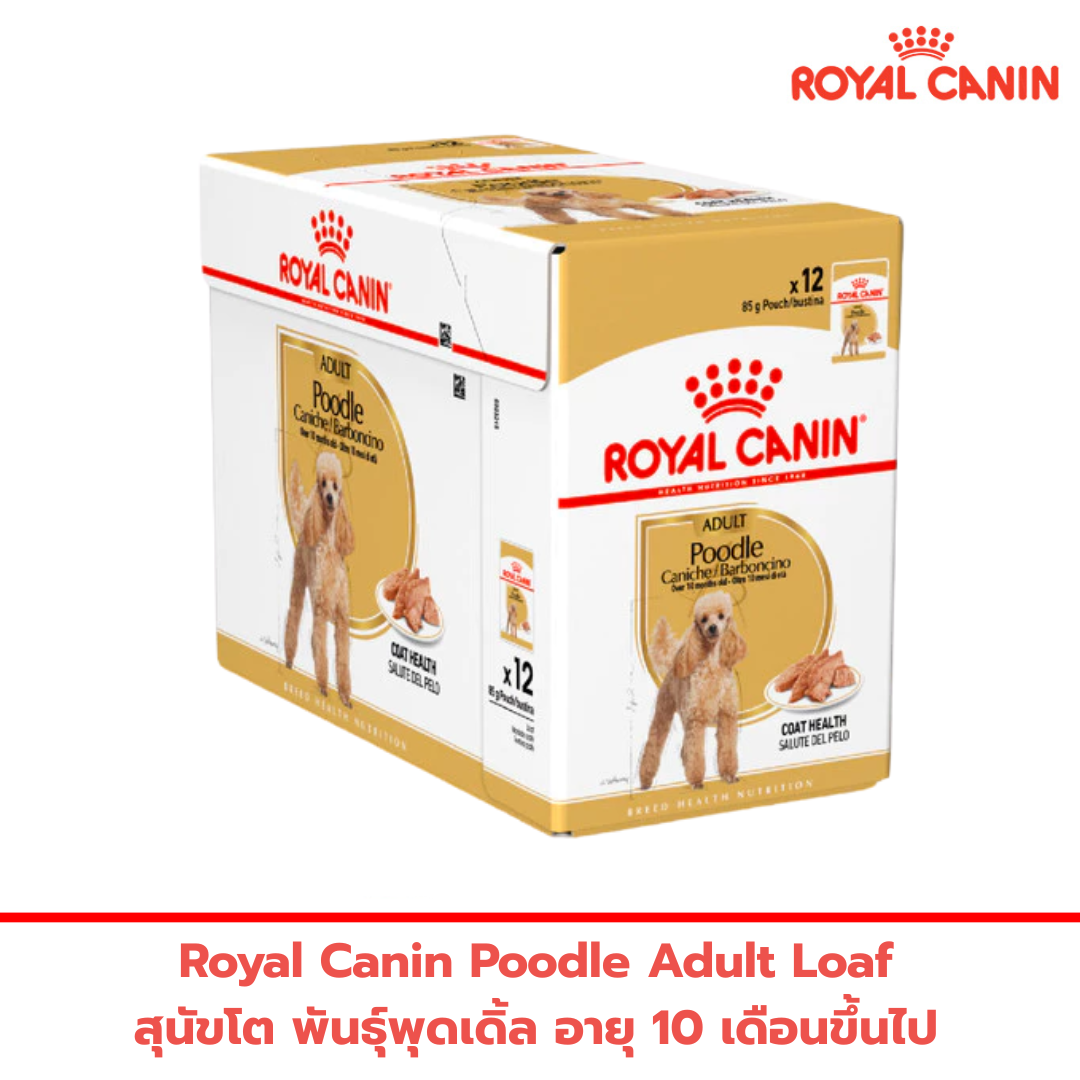 Royal Canin Poodle Adult Pouch Loaf อาหารเปียกสุนัขโต พันธุ์พุดเดิ้ล อายุ 10 เดือนขึ้นไป (85g)