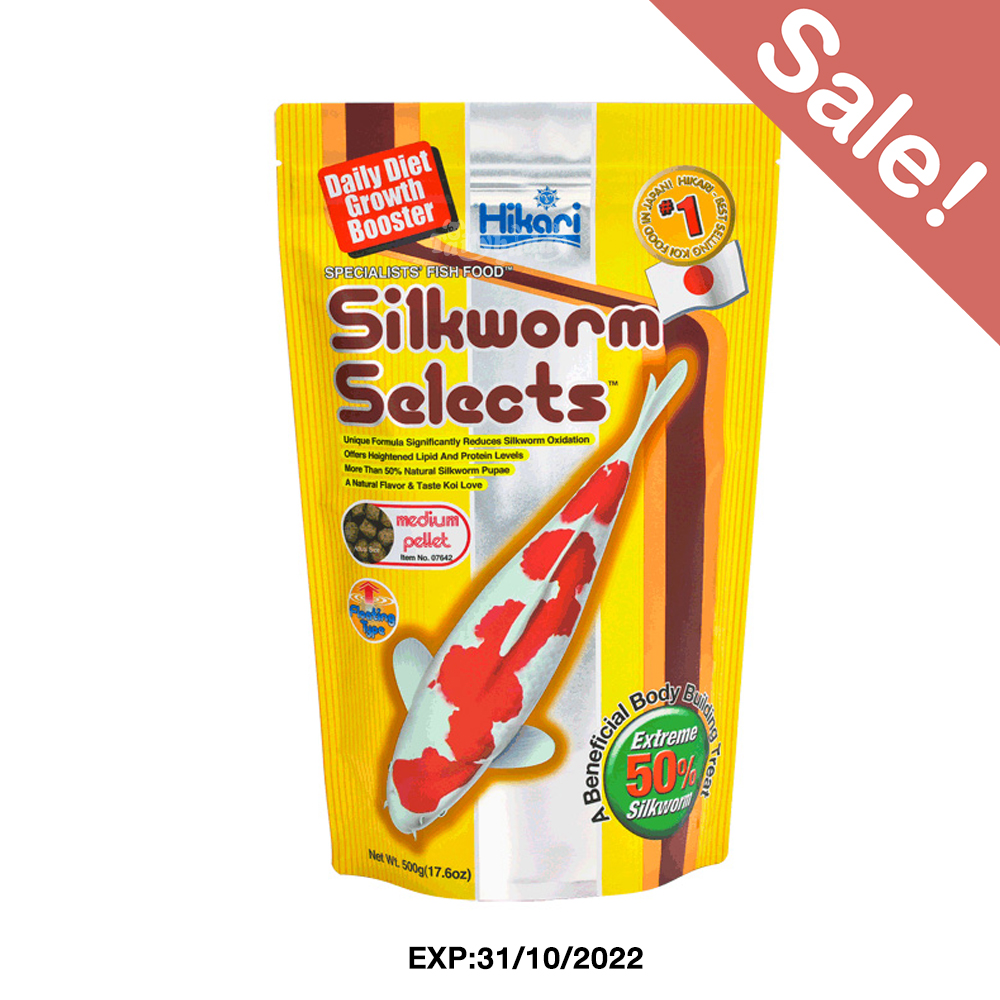 (EXP:31/10/2022) Hikari - Silkworm Selects อาหารปลาคาร์ฟ ฮิคาริ หนอนไหม เม็ดกลาง สูตรเร่งโต size M (500g.)**