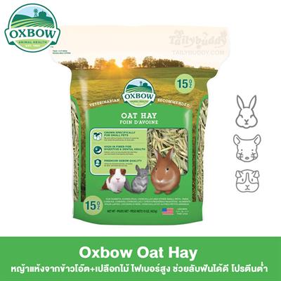 Oxbow Oat Hay high fiber and low protein for herbivores (15oz.)