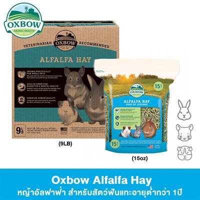 Oxbow Alfalfa Hay หญ้าอัลฟาฟ่า สำหรับสัตว์ฟันแทะอายุต่ำกว่า 1ปี (15oz , 40oz. , 9LB)