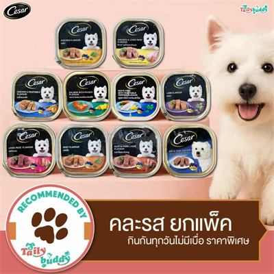 Cesar อาหารเปียกสุนัข คละ 10 รส ยกแพ็ค (10ถาด)