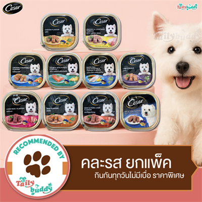 Cesar อาหารเปียกสุนัข คละ 10 รส ยกแพ็ค (10ถาด)