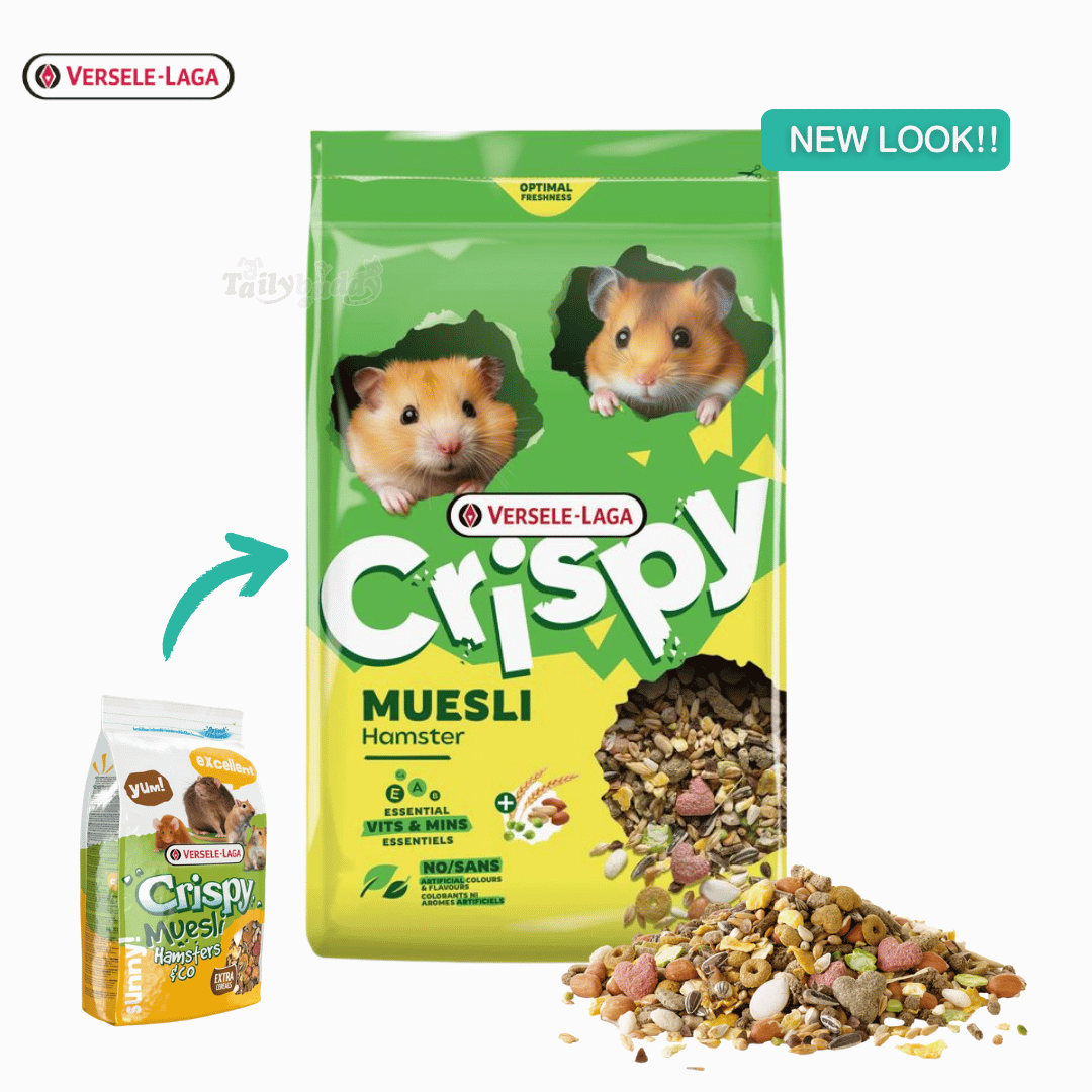 Crispy Muesli Hamsters อาหารแฮมเตอร์สูตรประหยัด คริสปี้ เพิ่มธัญพืชพิเศษ, Versele Laga