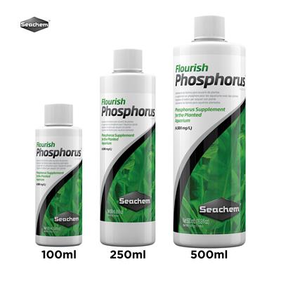 Seachem Flourish Phosphorus - ฟอสฟอรัสช่วยเพิ่มและเร่งการเจริญเติบโตของไม้น้ำ