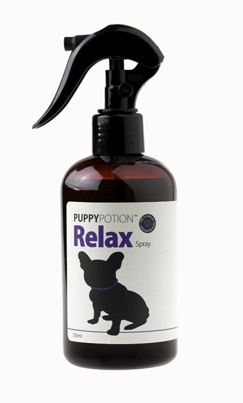 Puppy Potion สเปรย์กำจัดกลิ่นและบำรุงขนสุนัข สูตร Relax ฆ่าเชื้อแบคทีเรีย  กลิ่นบลูคาโมมาย (250Ml)