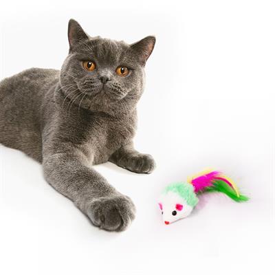 Toy for Cat, mouse Body