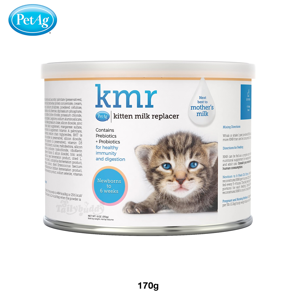 Cat milk 2024 for older cats