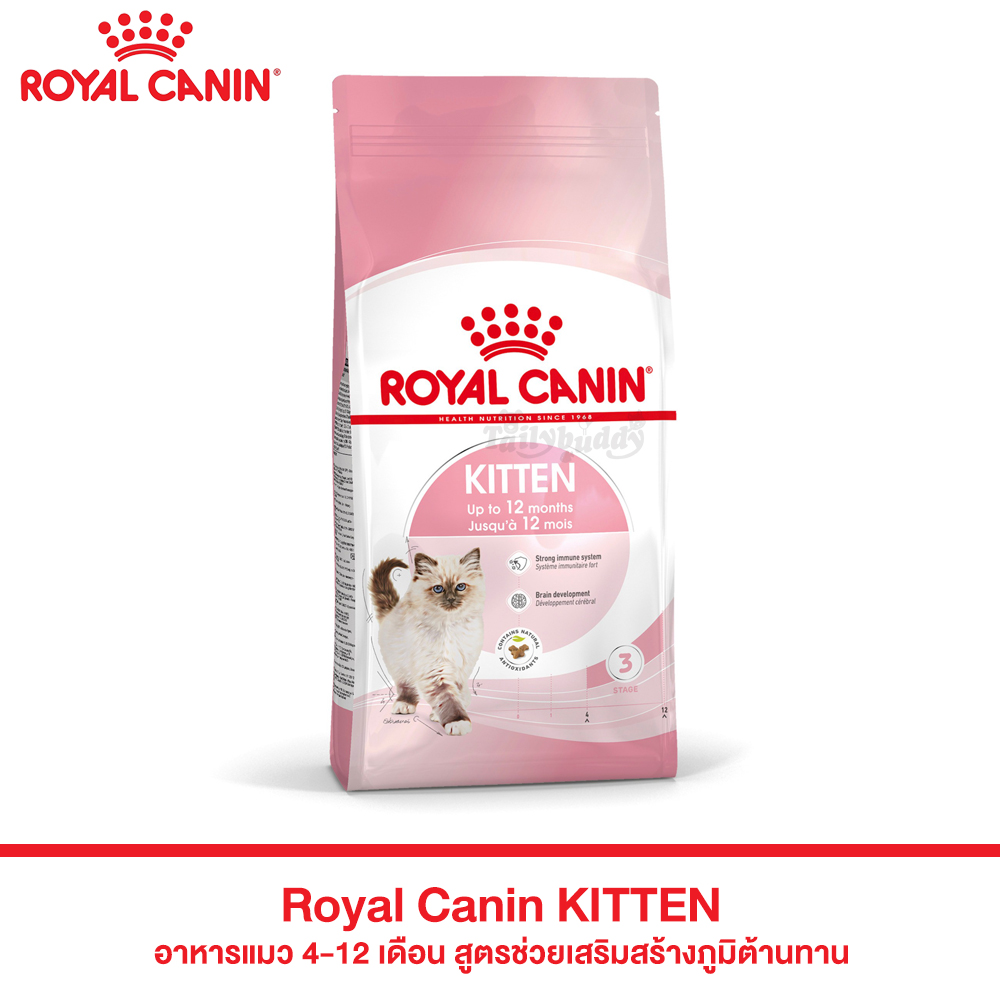 Royal Canin KITTEN อาหารแมว 4-12 เดือน สูตรช่วยเสริมสร้างภูมิต้านทาน (400g , 2kg , 4kg , 10kg)