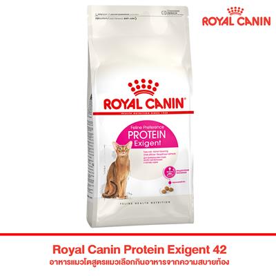 Royal Canin Protein Exigent 42 อาหารแมวโตสูตรแมวเลือกกินอาหารจากความสบายท้อง แบบเม็ด (400g,2kg,4kg)