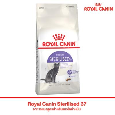 Royal Canin Sterilised 37 อาหารแมวสูตรสำหรับแมวโตทำหมัน (400g , 2 kg , 4 kg , 10 kg)