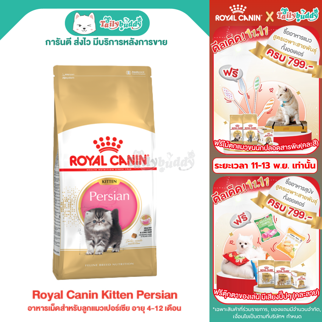 Royal Canin Kitten Persian อาหารเม็ดสำหรับลูกแมวเปอร์เซีย อายุ 4-12 เดือน (400g, 2kg, 4kg, 10kg)