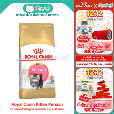 Royal Canin Kitten Persian 32 (400g , 2 kg , 4 kg, 10 kg)