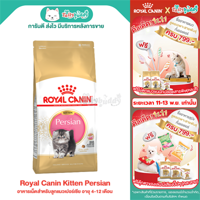 Royal Canin Kitten Persian อาหารเม็ดสำหรับลูกแมวเปอร์เซีย อายุ 4-12 เดือน (400g, 2kg, 4kg, 10kg)