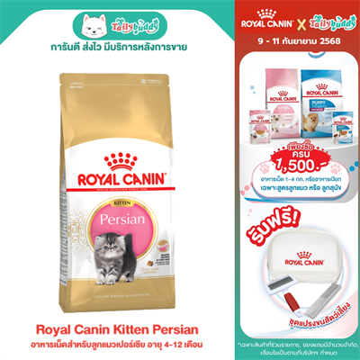 Royal Canin Kitten Persian อาหารเม็ดสำหรับลูกแมวเปอร์เซีย อายุ 4-12 เดือน (400g, 2kg, 4kg, 10kg)