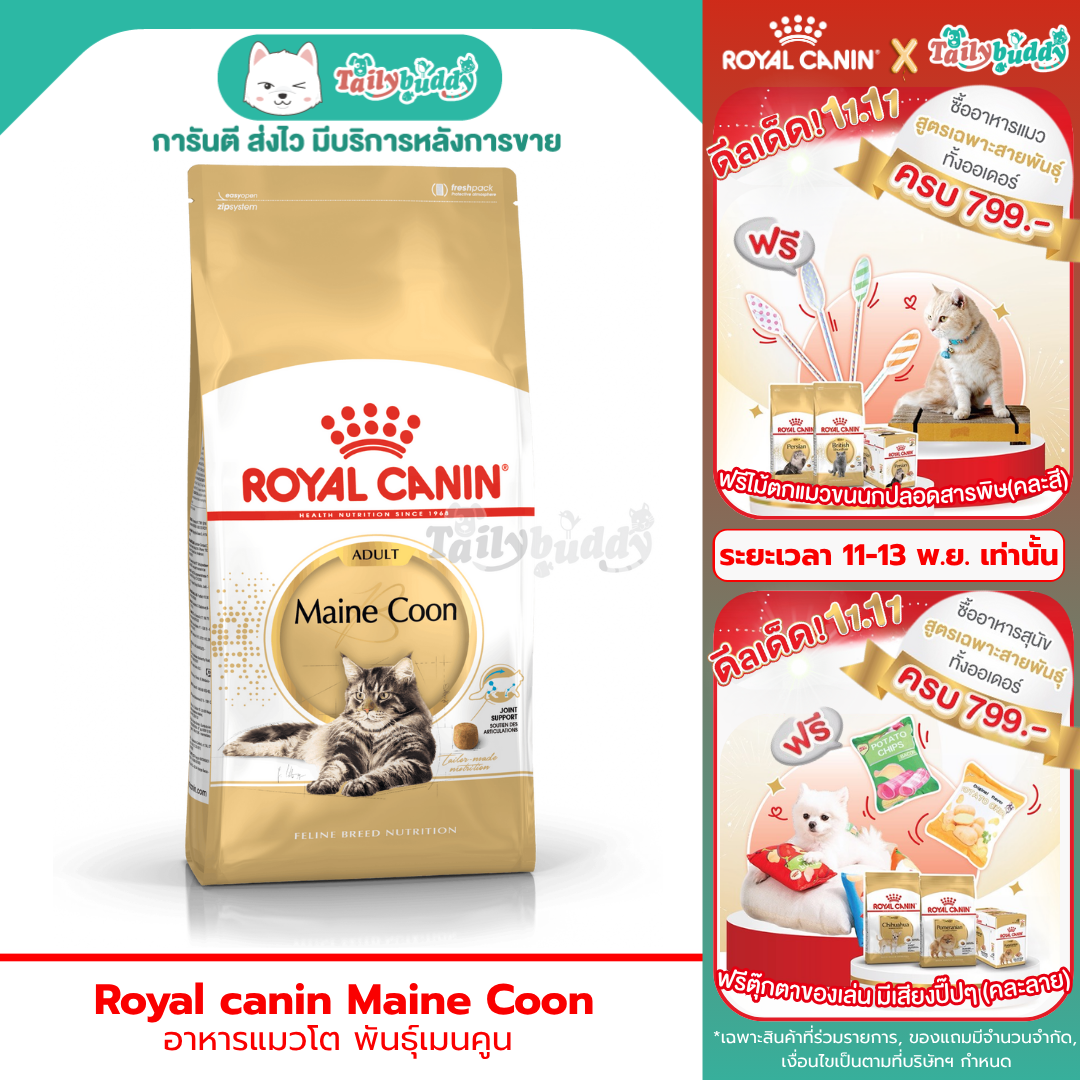 Royal canin maine coon อาหารแมวโต พันธุ์เมนคูน