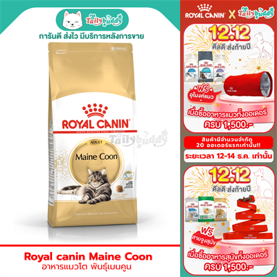 Royal canin maine coon อาหารแมวโต พันธุ์เมนคูน