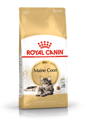 Royal canin maine coon อาหารแมวโต พันธุ์เมนคูน