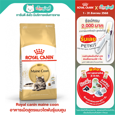 Royal Canin Maine Coon