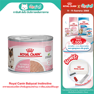 Royal Canin Babycat Instinctive ลูกแมวหย่านม-4 เดือน,แม่แมวให้นมลูก (195g)