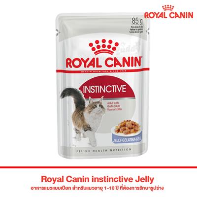 Royal Canin instinctive Jelly อาหารแมวแบบเปียก สำหรับแมวอายุ 1-10 ปี ที่ต้องการรักษารูปร่าง (85g)