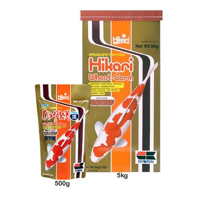 Hikari Sinking Wheat-Germ อาหารปลาคาร์ฟ ผสมจมูกข้าวสาลี วิตามินสูง แบบจม (เม็ดกลาง) (500g, 5Kg)
