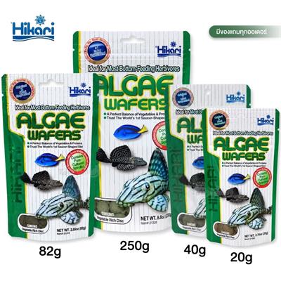 Hikari Algae Wafers อาหารปลาฮิคาริ สำหรับปลากินพืช กินตะไคร่ แบบเม็ดจม สำหรับปลาพื้นตู้ ปลาแพะ ปลาหมู ปลาซัคเกอร์ เม็ดจม