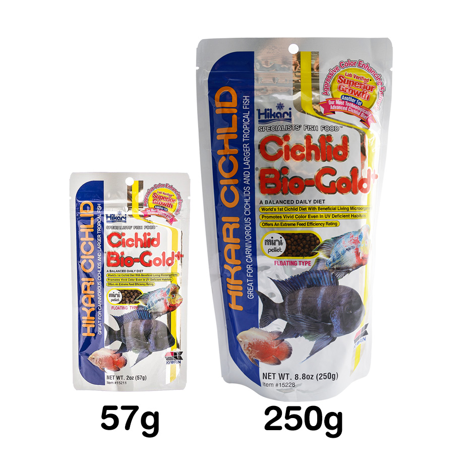 Hikari Cichlid Bio-Gold+ ฮิคาริ อาหารปลาหมอสี ชนิดลอยน้ำ สูตรเร่งสีพิเศษ (เม็ดเล็ก) (57g, 250g)