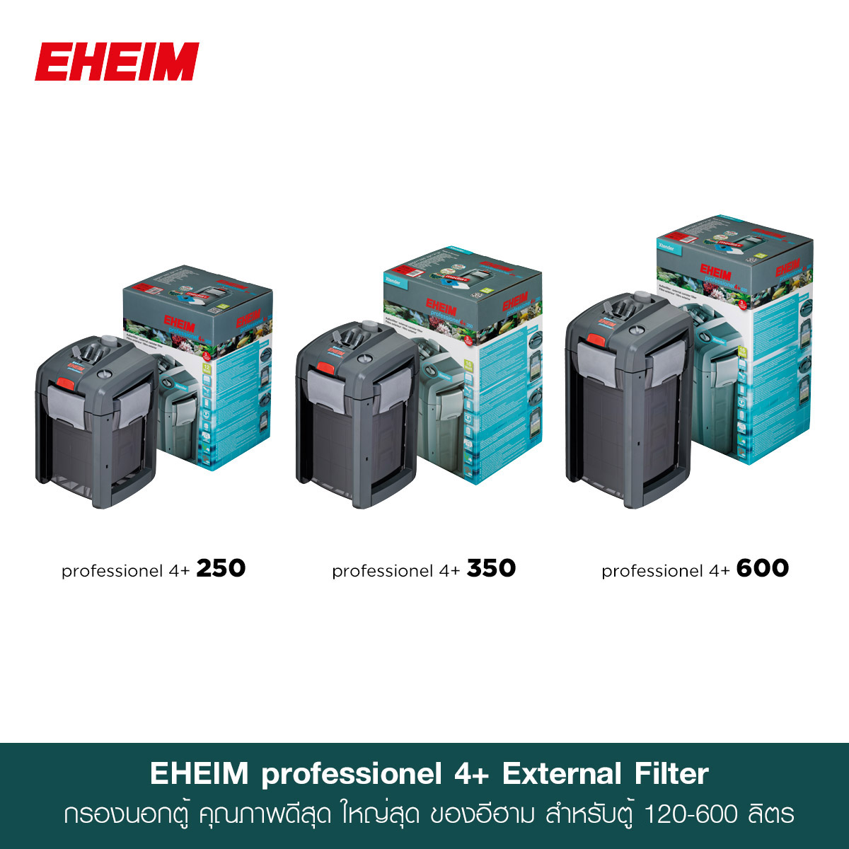 EHEIM professionel 4+ 350T - Installation 