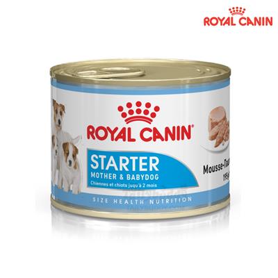 Royal Canin  STARTER MOUSSE ชนิดเปียก (แบบกระป๋อง) สำหรับแม่และลูกสุนัข (195g.)