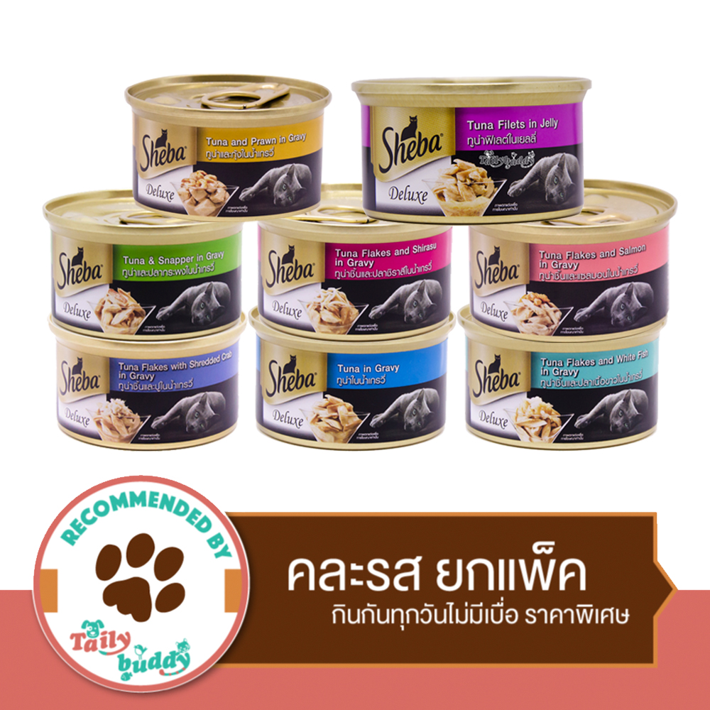 betta fish accessories