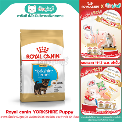 Royal Canin Yorkshire Terrier Puppy อาหารเม็ด สำหรับลูกสุนัข พันธุ์ยอร์คไชร์ เทอร์เรีย อายุต่ำกว่า 10 เดือน (500g, 1.5kg)