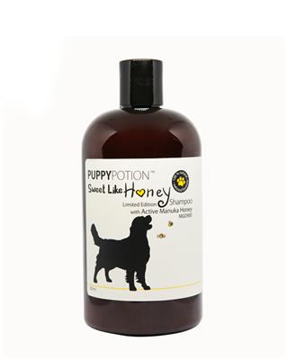 Doggy Potion Sweet Like Honey แชมพูมานูก้า ฮันนี่ ฆ่าเชื้อแบคทีเรียจากธรรมชาติ พร้อมฟื้นฟูผิวและบำรุงขน (500ml)